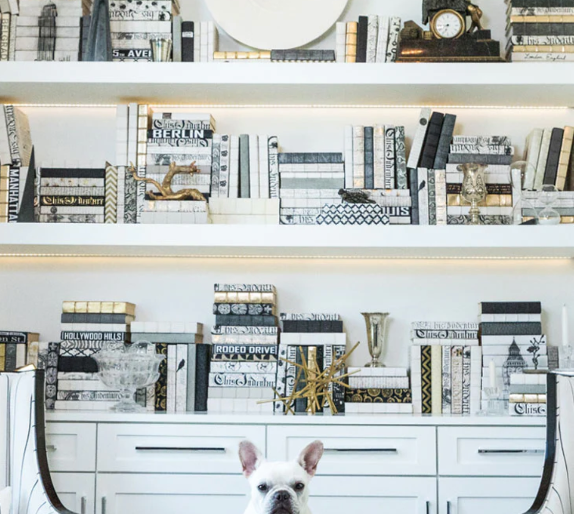 Book shelf with books and decor. Dogs head peaking into picture.