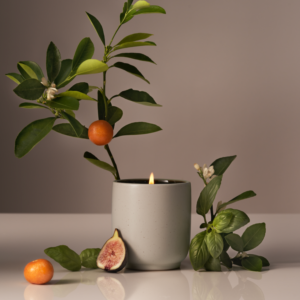 Gray candle with decorative plans and tangerines surrounding.