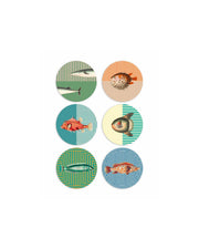 Tide Coasters | Set of 6
