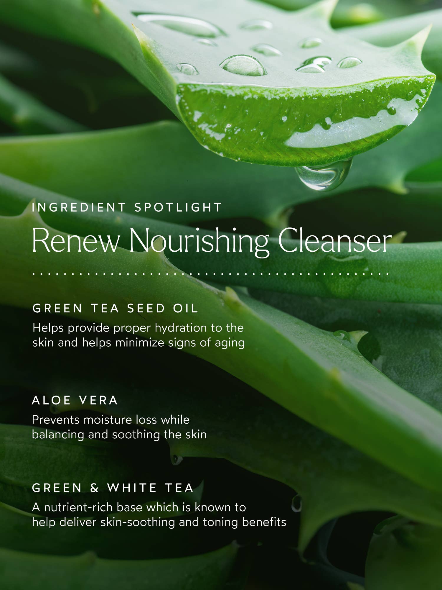 Renew Nourishing Cleanser: Full Size (3.9 fl oz | 120 ml)