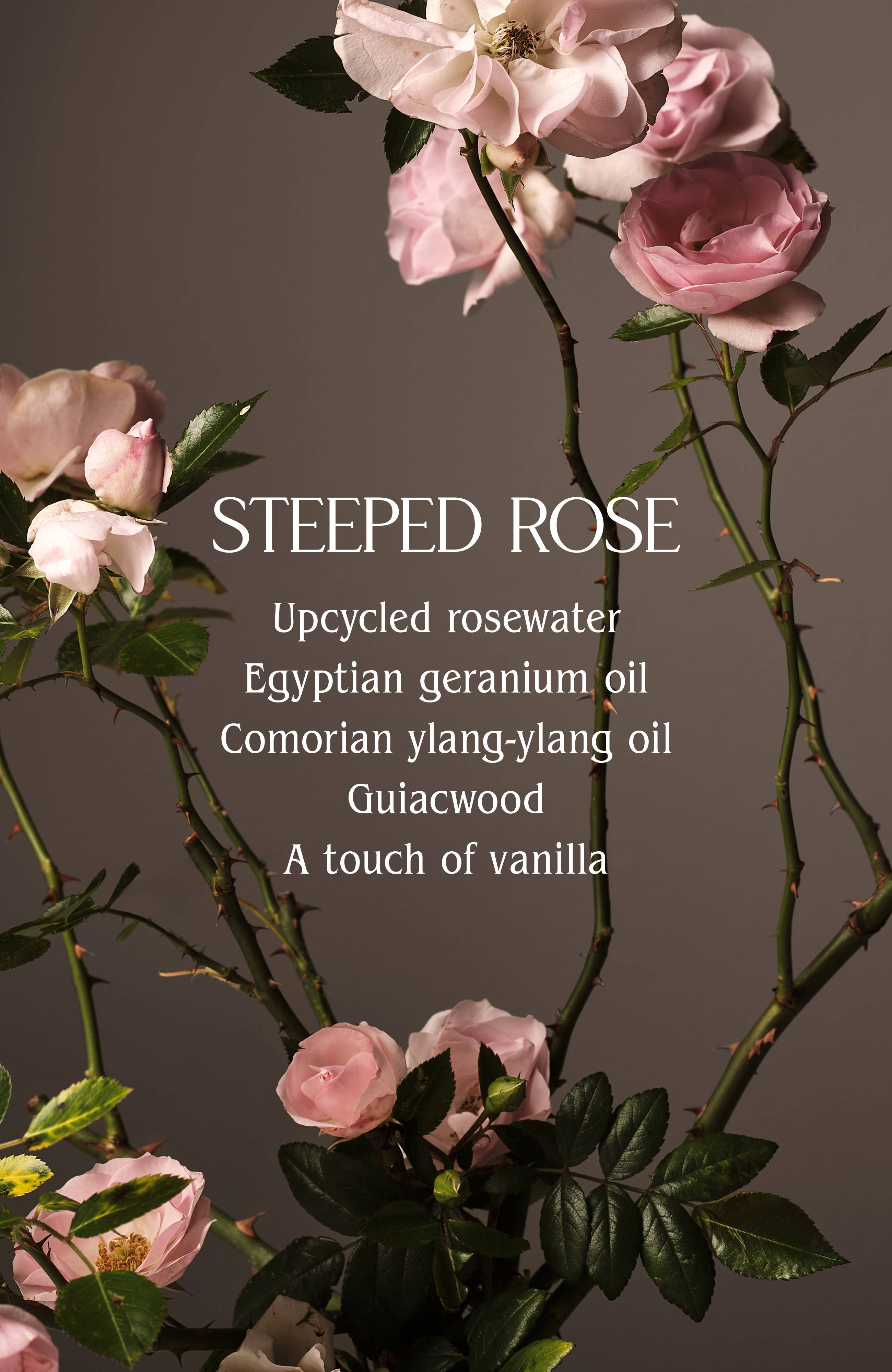 Hand Wash Refill | Sustainable, Eco-Friendly Care: Steeped Rose