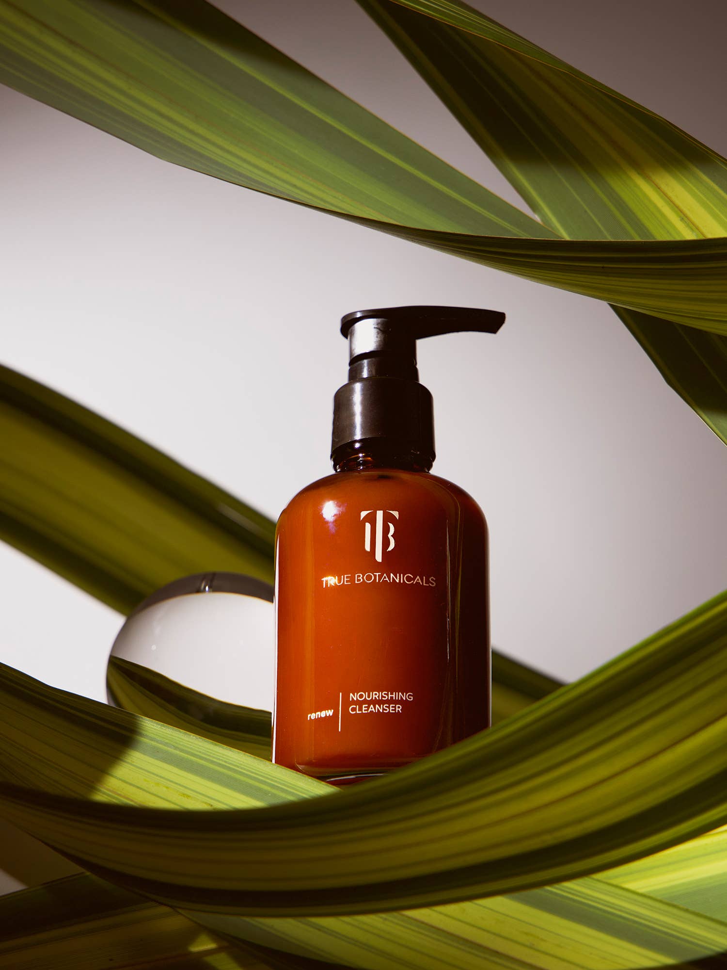 Renew Nourishing Cleanser: Full Size (3.9 fl oz | 120 ml)