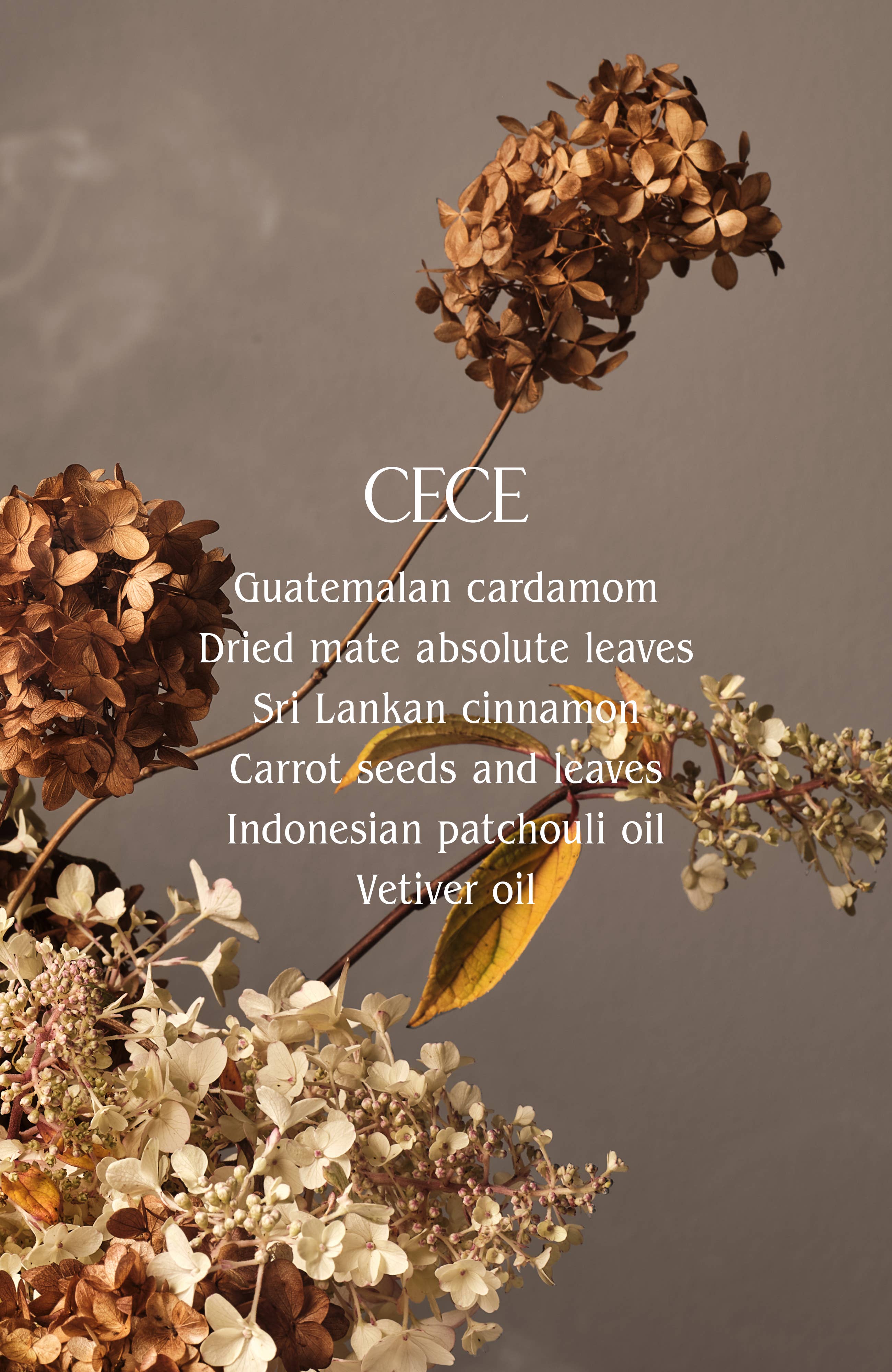 Hand Wash Refill | Sustainable, Eco-Friendly Care: Steeped Rose