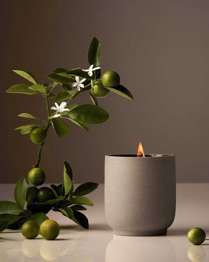 Signature Candle : Neroli Leaf