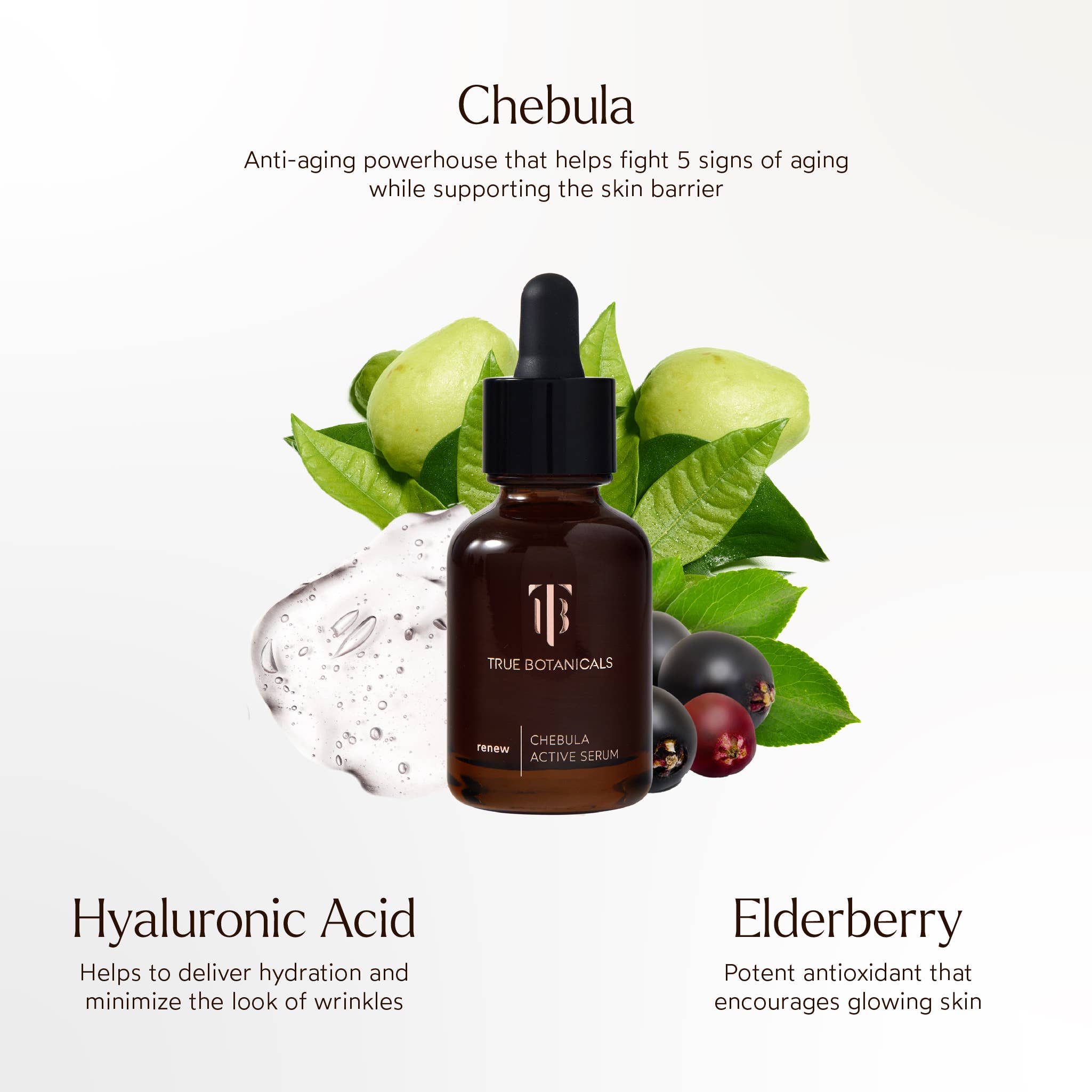 Anti-Aging Chebula Active Serum: Full Size (1 fl oz | 30 ml)