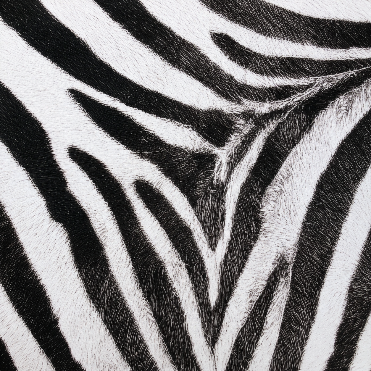 Zebra Noir Safari Club Collection 33" Premium Mahjong Mat