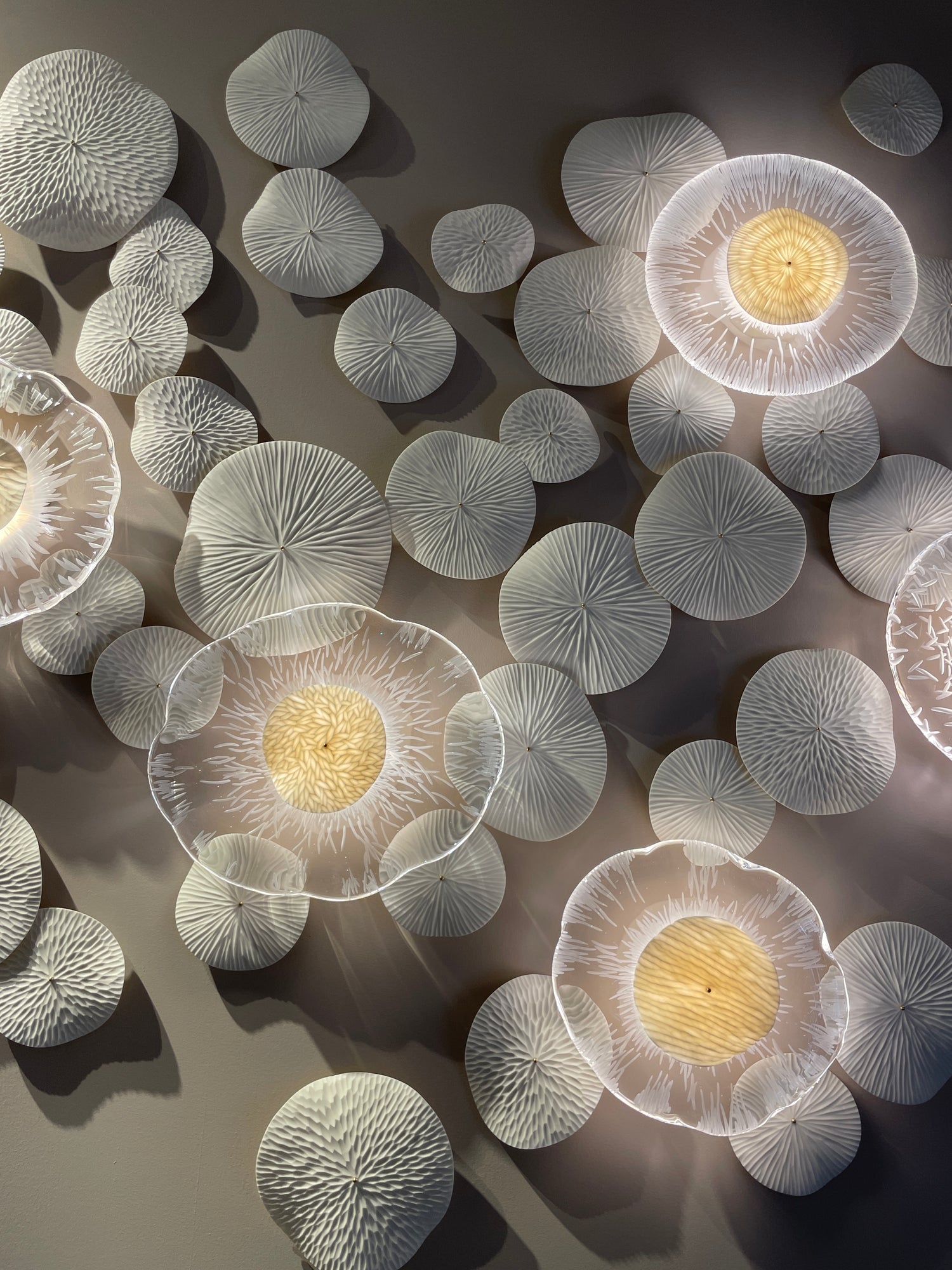 Close-up of white coral polyps with a central yellow light on a dark background