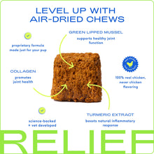 Relief Chews, Hip & Joint Supplement for Dogs | 30ct