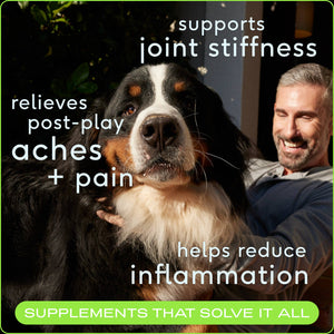 Relief Chews, Hip & Joint Supplement for Dogs | 30ct