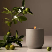 Signature Candle | Neroli Leaf