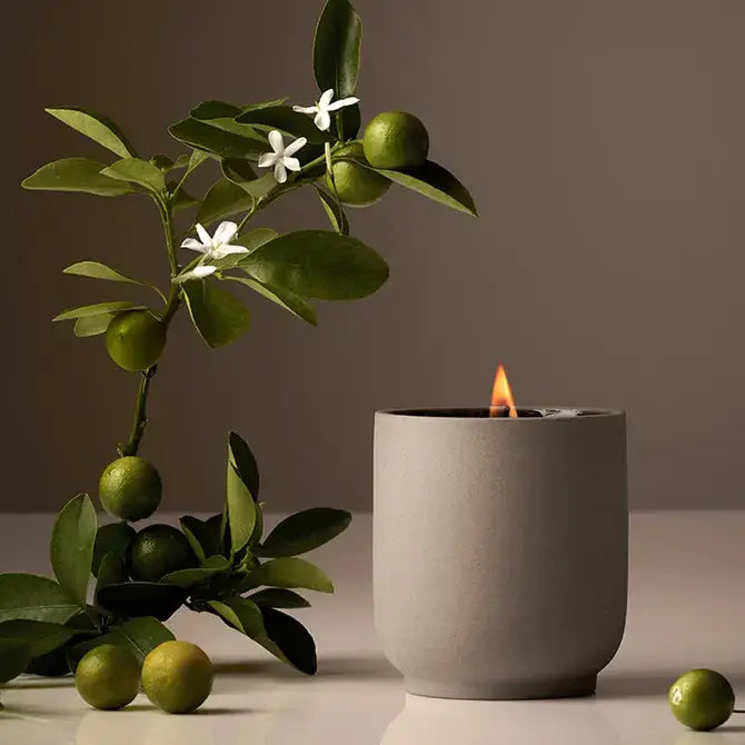 Signature Candle | Neroli Leaf