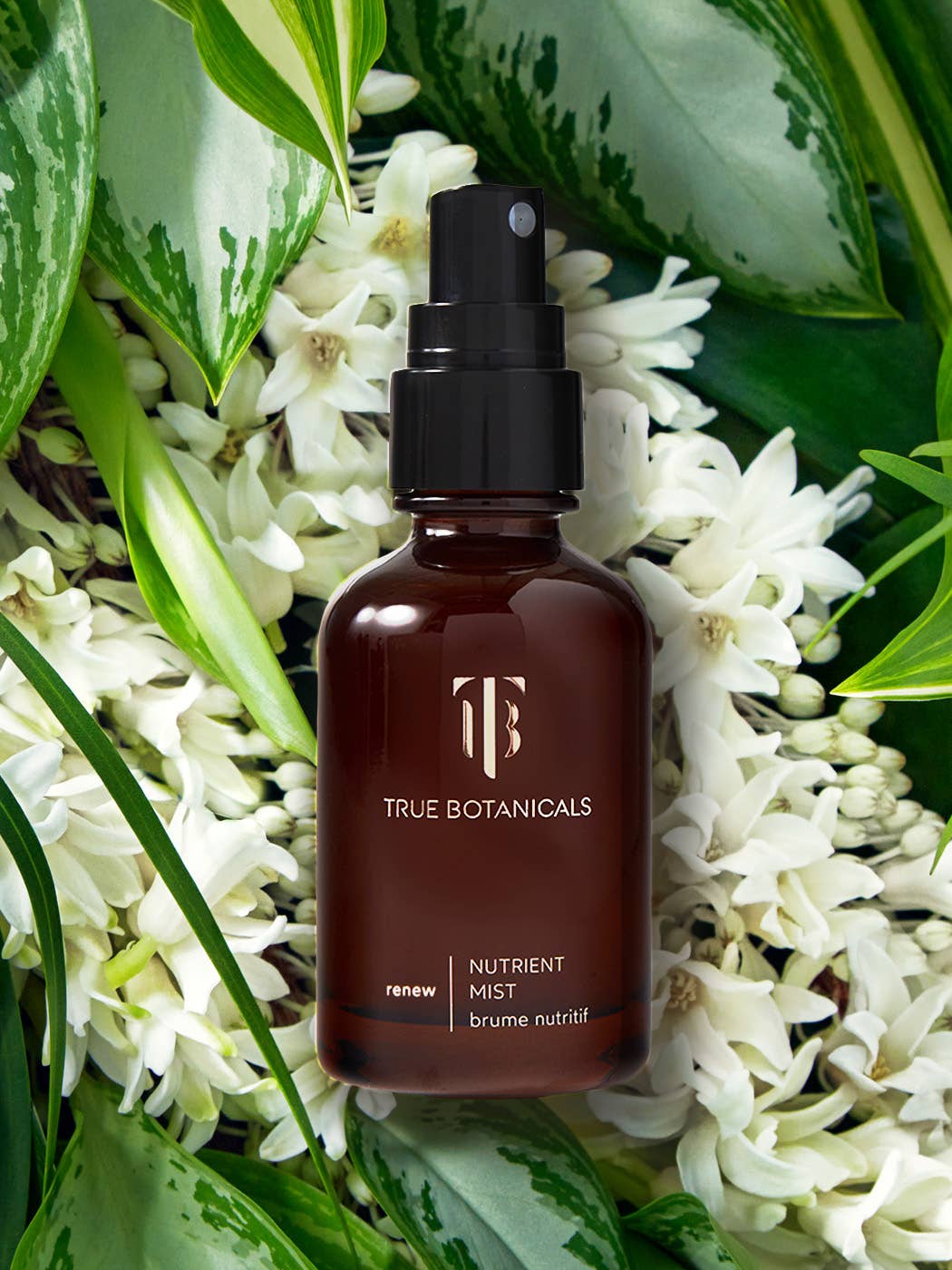 Renew Nutrient Mist: Full Size (1.7 fl oz | 50 ml)